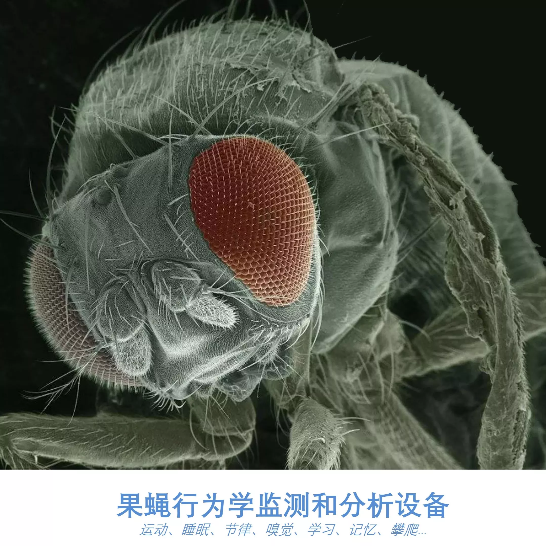 生命科学